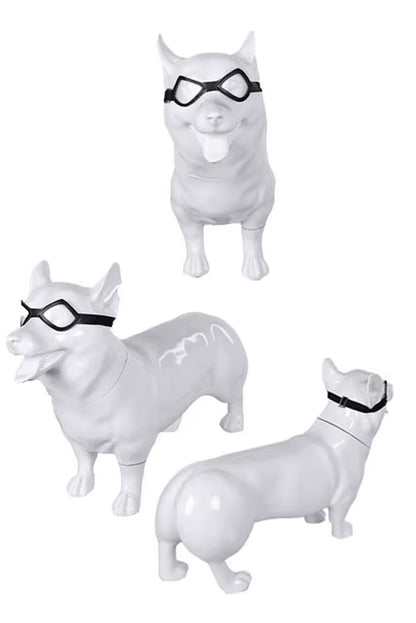Pet Dog Halloween Costume - Red Pool Outfit with Goggles for Small and Large Dogs