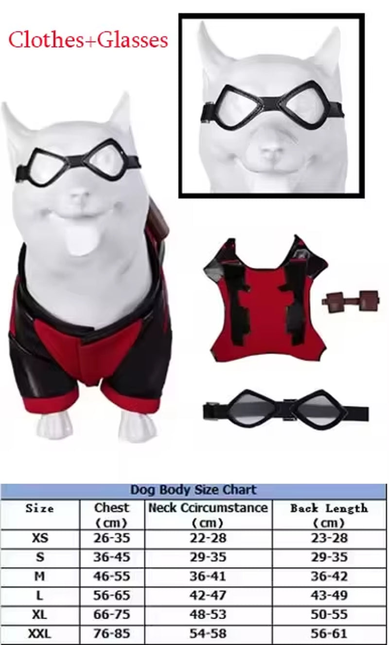 Pet Dog Halloween Costume - Red Pool Outfit with Goggles for Small and Large Dogs