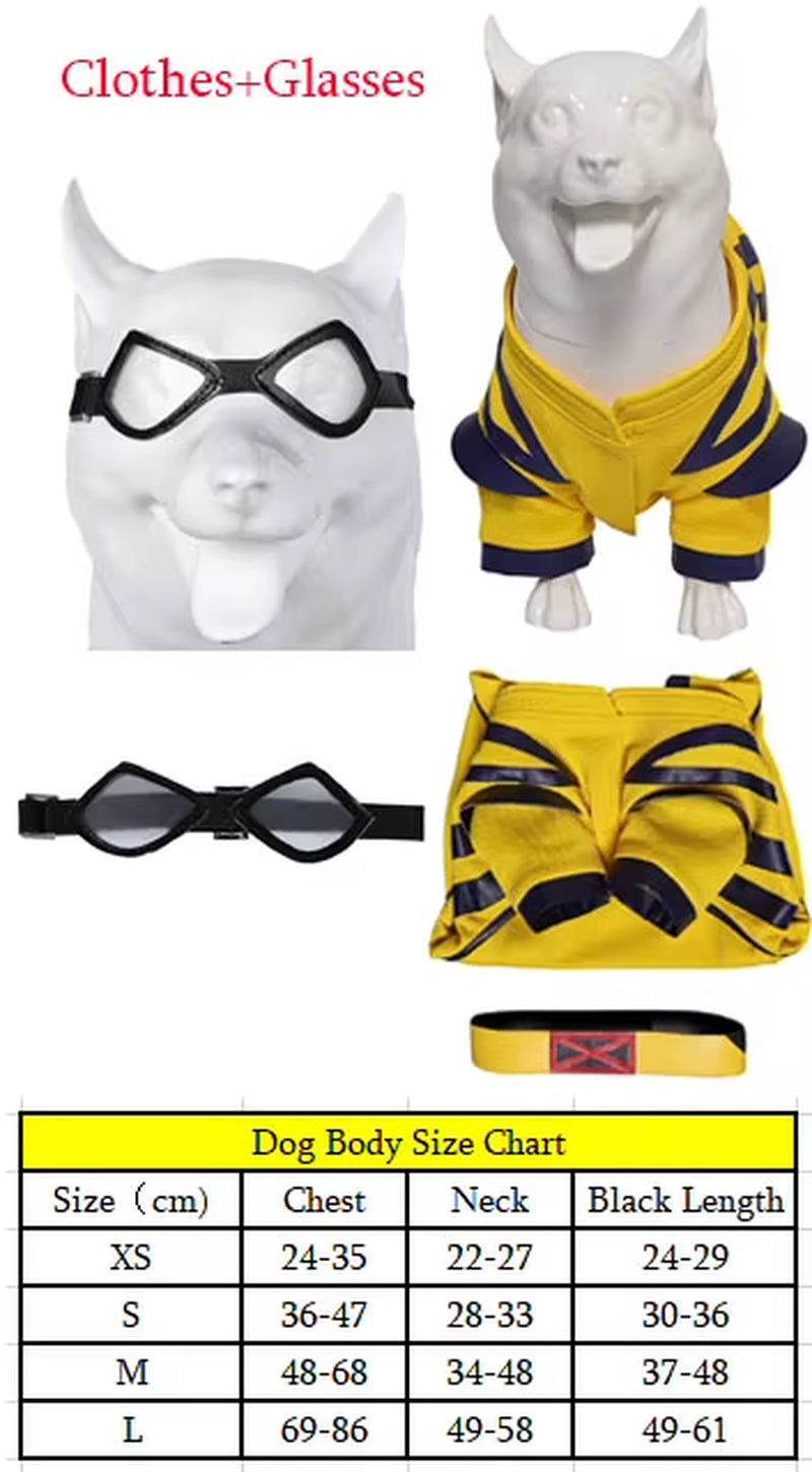 Pet Dog Halloween Costume - Red Pool Outfit with Goggles for Small and Large Dogs